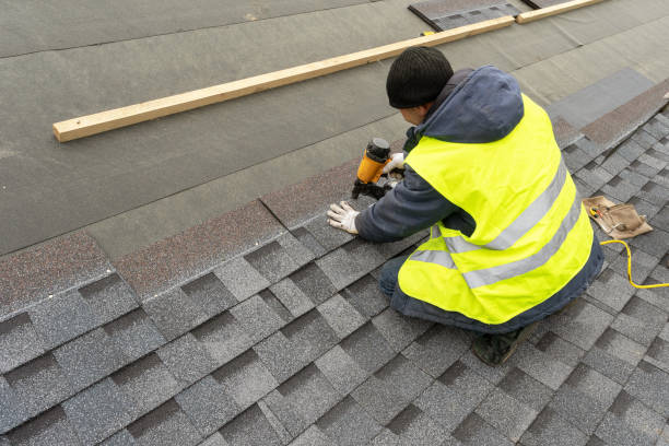 Best Metal Roofing Contractor  in Carl Junction, MO