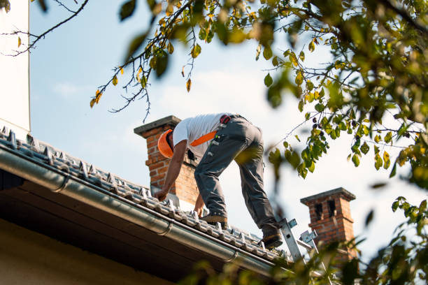 Professional Roofing Contractor in Carl Junction, MO